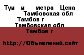 Туи 3 и 3,5 метра › Цена ­ 4 000 - Тамбовская обл., Тамбов г.  »    . Тамбовская обл.,Тамбов г.